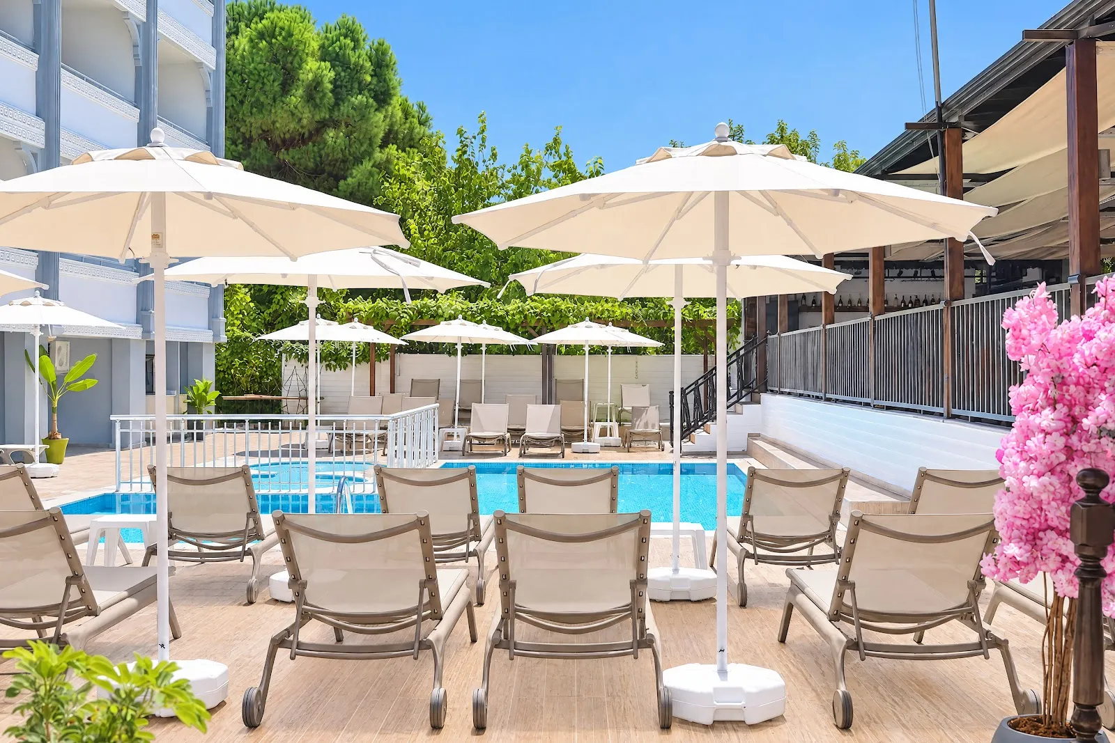 Side Castle Beach Hotel havuz ve güneşlenme alanı